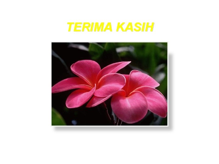 TERIMA KASIH 