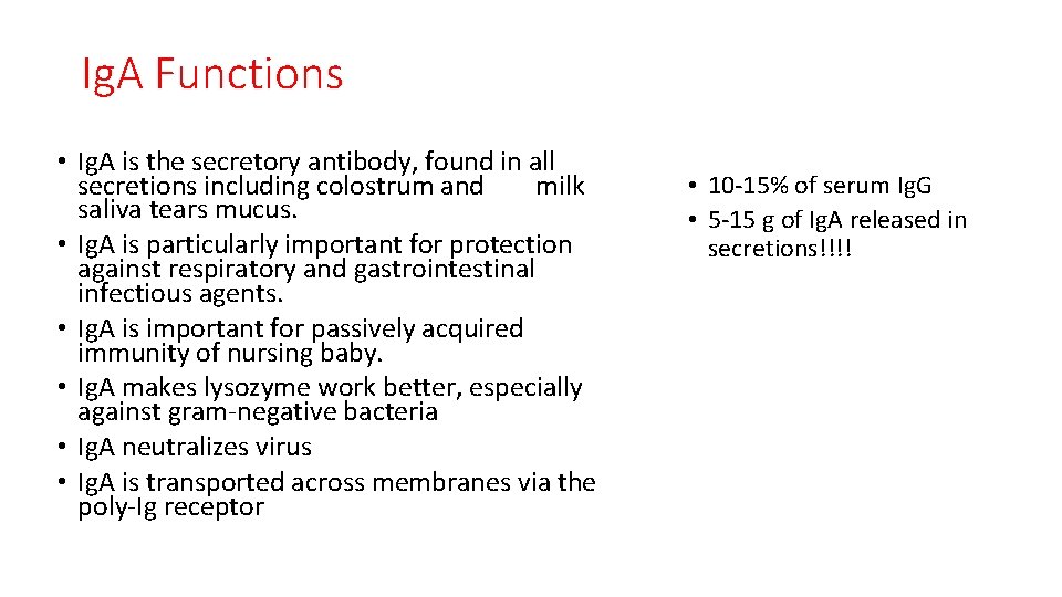 Ig. A Functions • Ig. A is the secretory antibody, found in all secretions