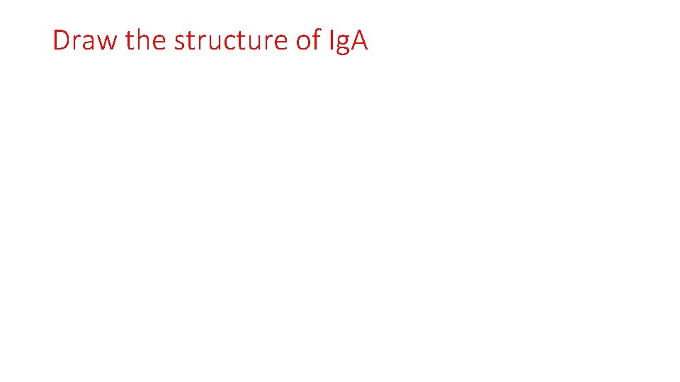 Draw the structure of Ig. A 