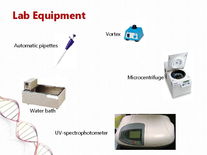 Lab Equipment Vortex Automatic pipettes Microcentrifuge Water bath UV-spectrophotometer 