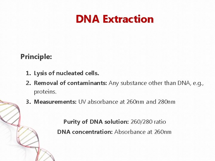 DNA Extraction and Purification Lab Equipment Vortex Automatic