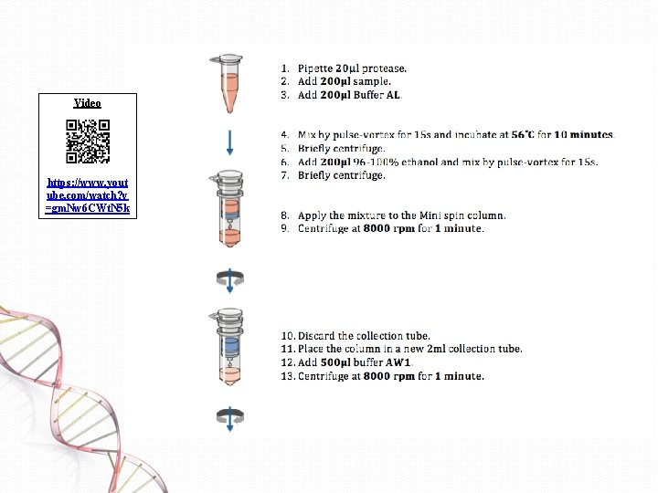 Video https: //www. yout ube. com/watch? v =gm. Nw 6 CWt. N 5 k