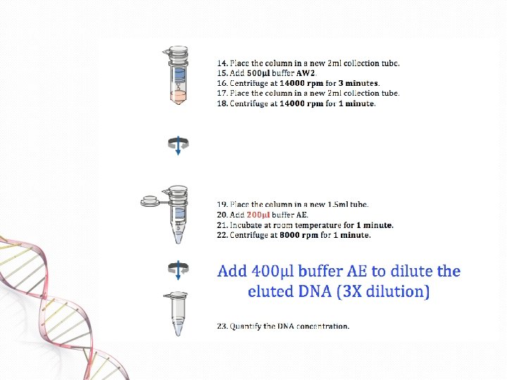 DNA Extraction and Purification Lab Equipment Vortex Automatic