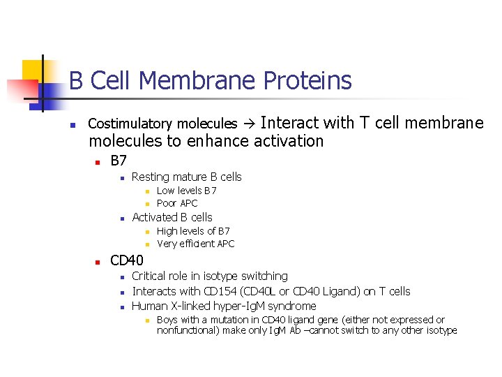 B Cell Membrane Proteins n Interact with T cell membrane molecules to enhance activation