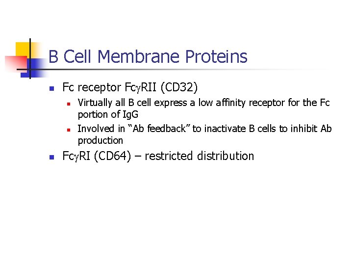 B Cell Membrane Proteins n Fc receptor Fcg. RII (CD 32) n n n