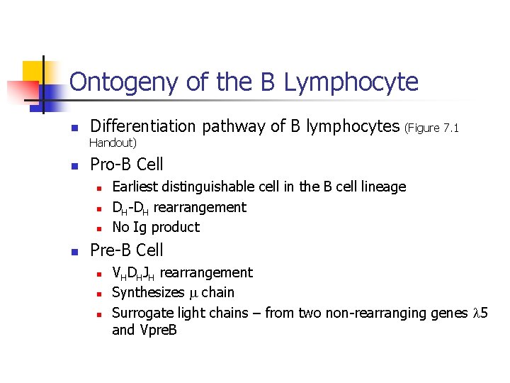 Ontogeny of the B Lymphocyte n Differentiation pathway of B lymphocytes (Figure 7. 1