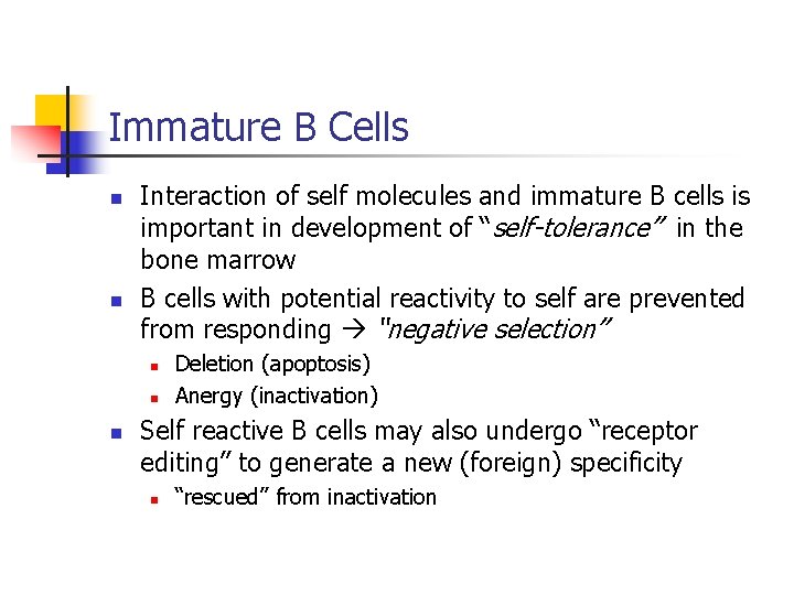 Immature B Cells n n Interaction of self molecules and immature B cells is