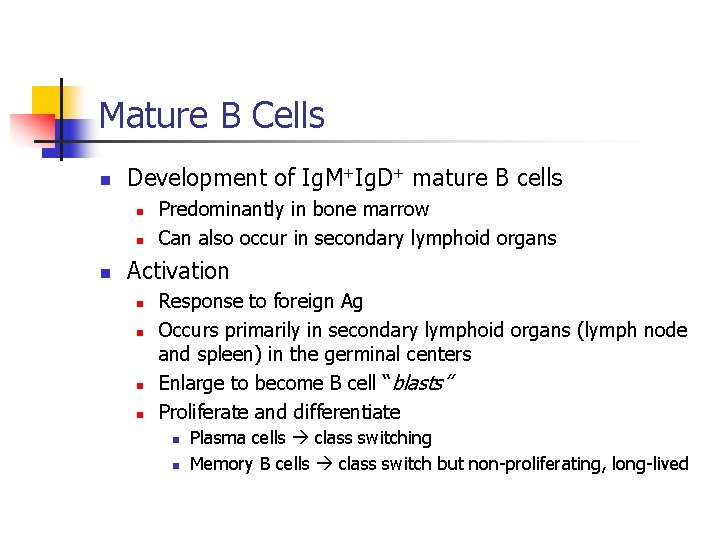 Mature B Cells n Development of Ig. M+Ig. D+ mature B cells n n