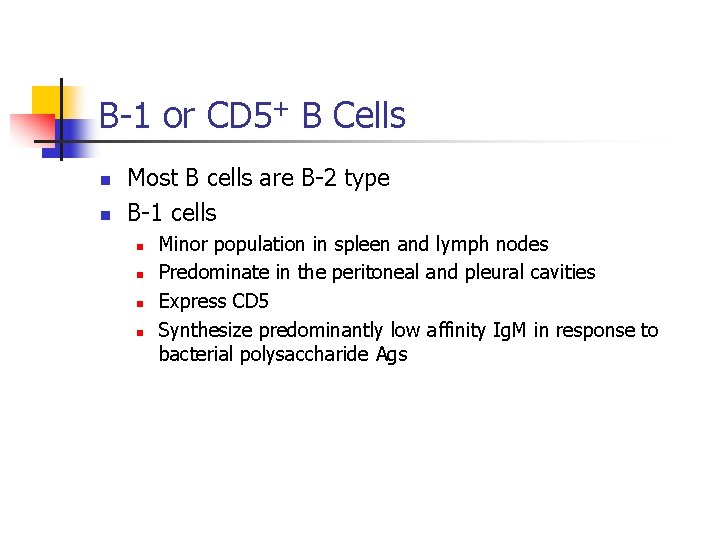 B-1 or CD 5+ B Cells n n Most B cells are B-2 type