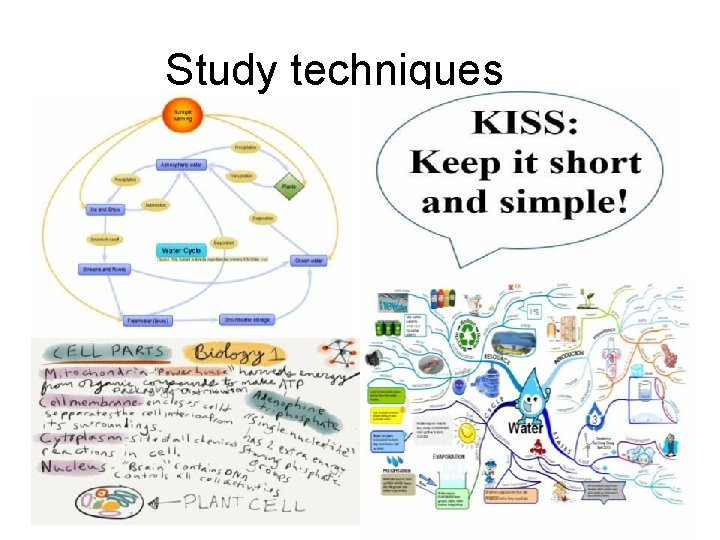 Study techniques 