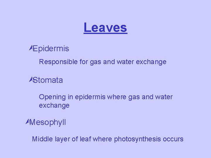 Leaves ÙEpidermis Responsible for gas and water exchange ÙStomata Opening in epidermis where gas