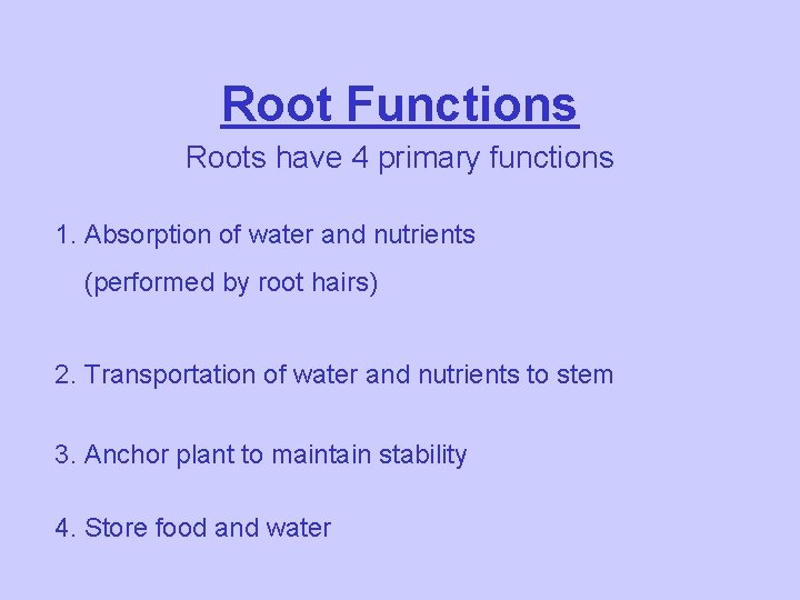 Root Functions Roots have 4 primary functions 1. Absorption of water and nutrients (performed