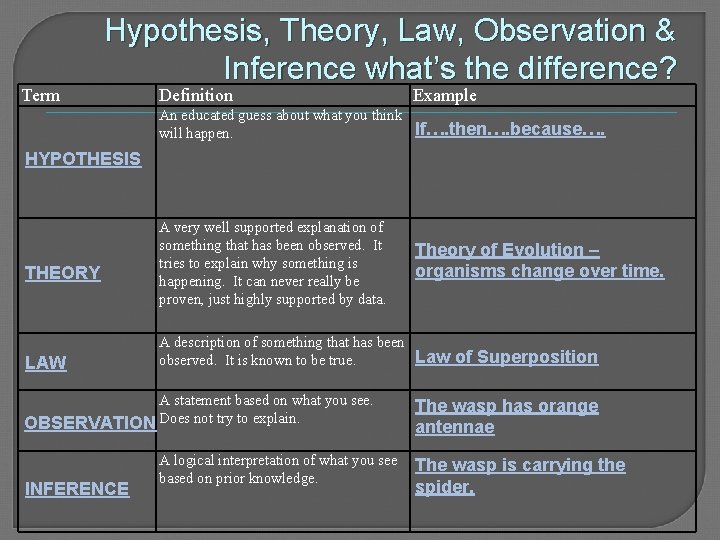 Term Hypothesis, Theory, Law, Observation & Inference what’s the difference? Definition Example An educated