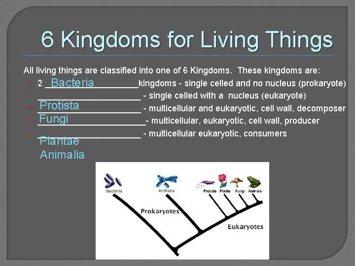 6 Kingdoms for Living Things All living things are classified into one of 6