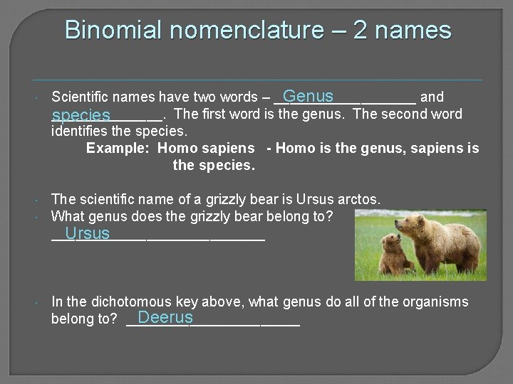 Binomial nomenclature – 2 names Genus Scientific names have two words – _________ and