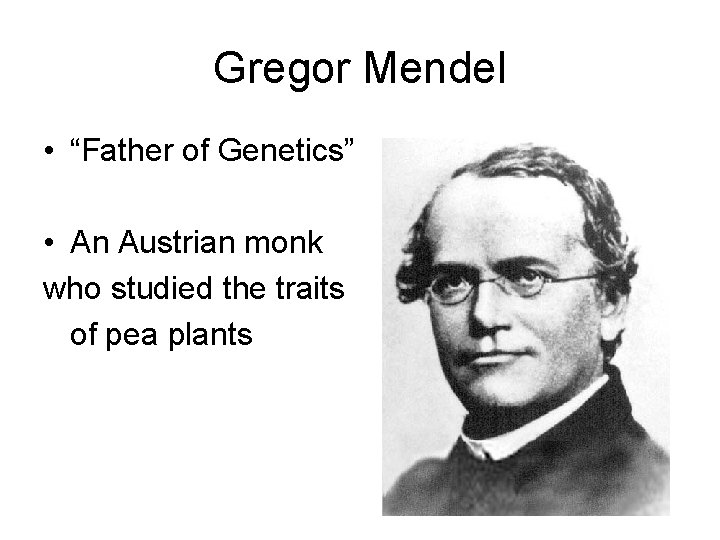 Gregor Mendel • “Father of Genetics” • An Austrian monk who studied the traits