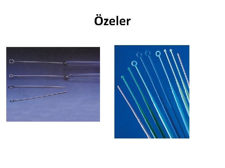 Özeler 