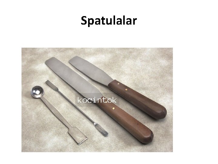 Spatulalar 