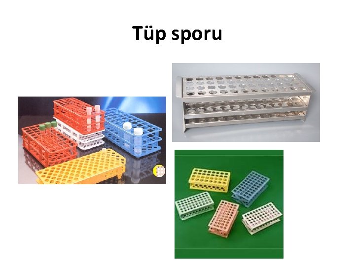 Tüp sporu 