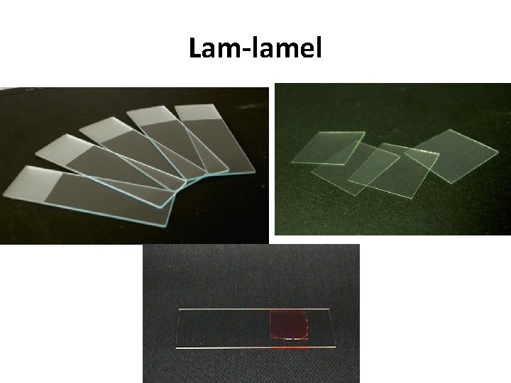 Lam-lamel 