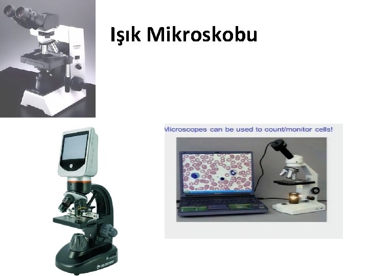Işık Mikroskobu 
