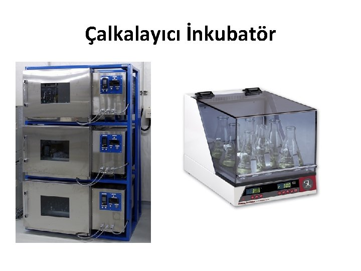 Çalkalayıcı İnkubatör 