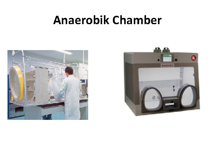 Anaerobik Chamber 