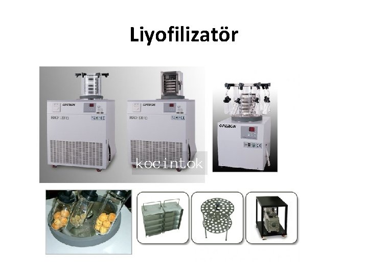Liyofilizatör 