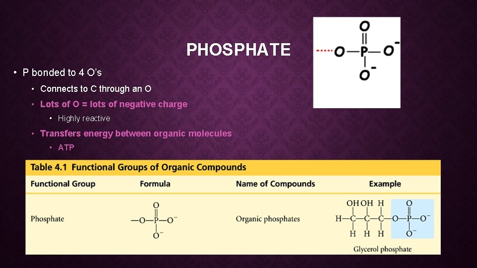 PHOSPHATE • P bonded to 4 O’s • Connects to C through an O