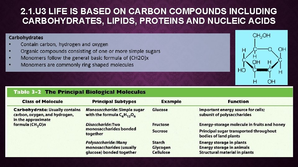 2. 1. U 3 LIFE IS BASED ON CARBON COMPOUNDS INCLUDING CARBOHYDRATES, LIPIDS, PROTEINS