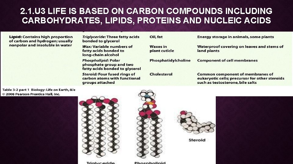 2. 1. U 3 LIFE IS BASED ON CARBON COMPOUNDS INCLUDING CARBOHYDRATES, LIPIDS, PROTEINS