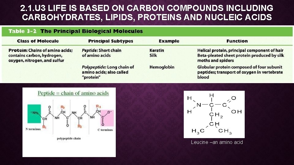 2. 1. U 3 LIFE IS BASED ON CARBON COMPOUNDS INCLUDING CARBOHYDRATES, LIPIDS, PROTEINS