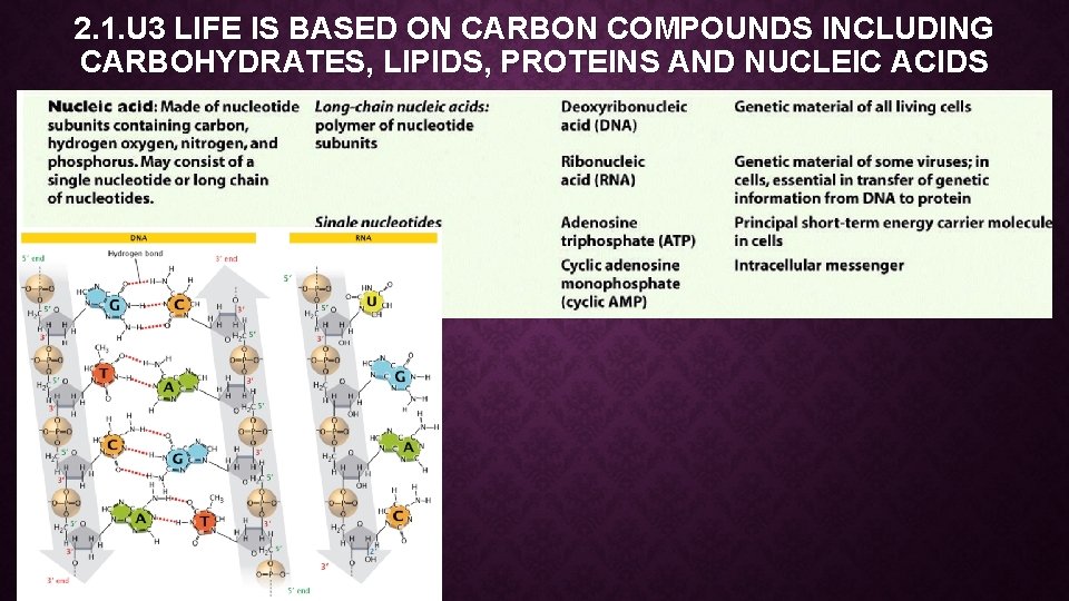 2. 1. U 3 LIFE IS BASED ON CARBON COMPOUNDS INCLUDING CARBOHYDRATES, LIPIDS, PROTEINS