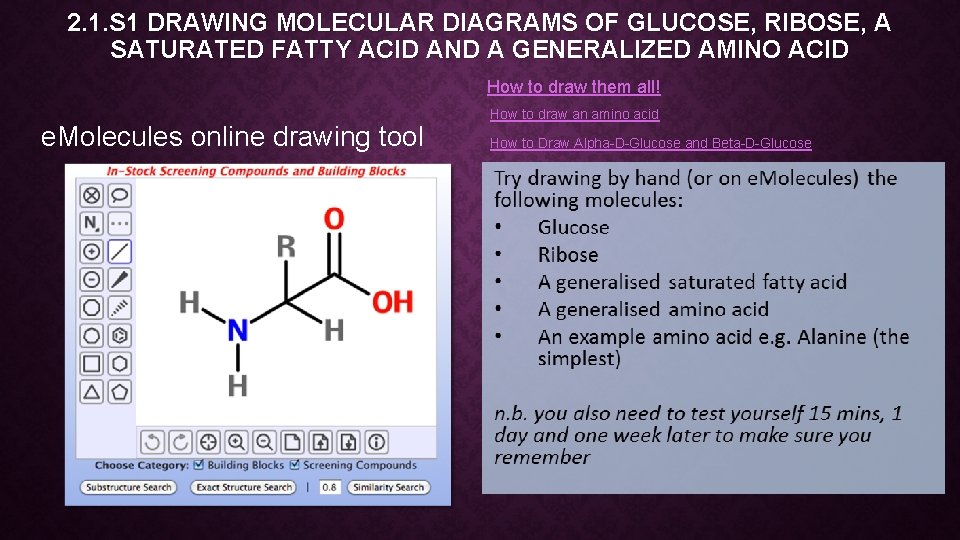 2. 1. S 1 DRAWING MOLECULAR DIAGRAMS OF GLUCOSE, RIBOSE, A SATURATED FATTY ACID