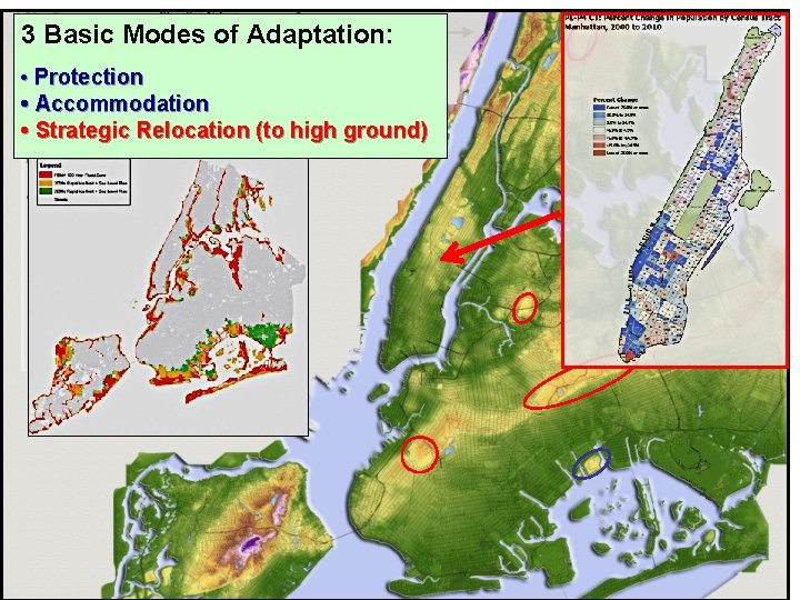 3 Basic Modes of Adaptation: • Protection • Accommodation • Strategic Relocation (to high