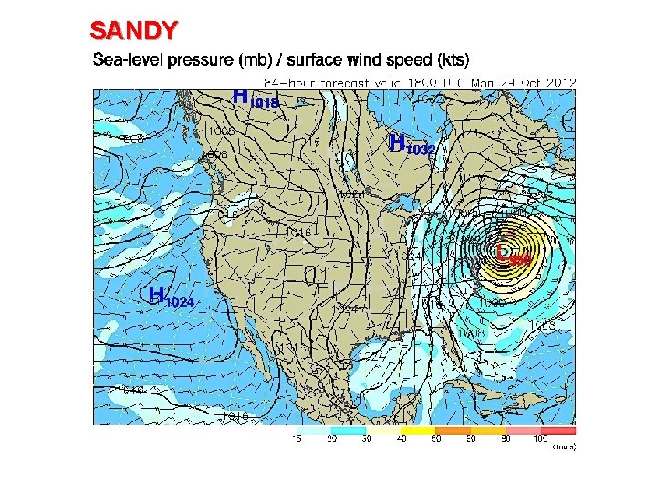 SANDY 