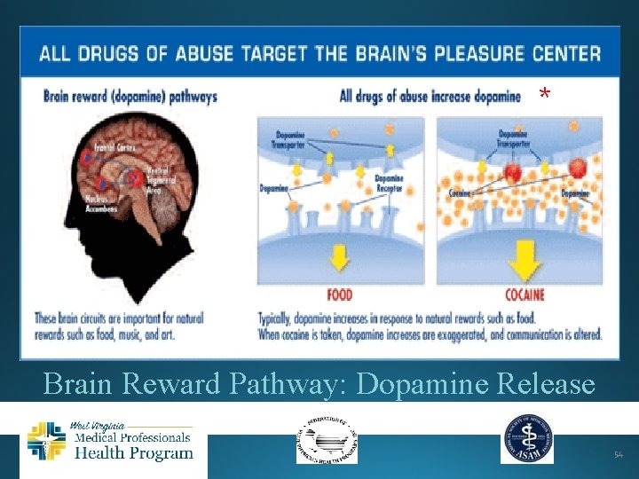 * Brain Reward Pathway: Dopamine Release 54 