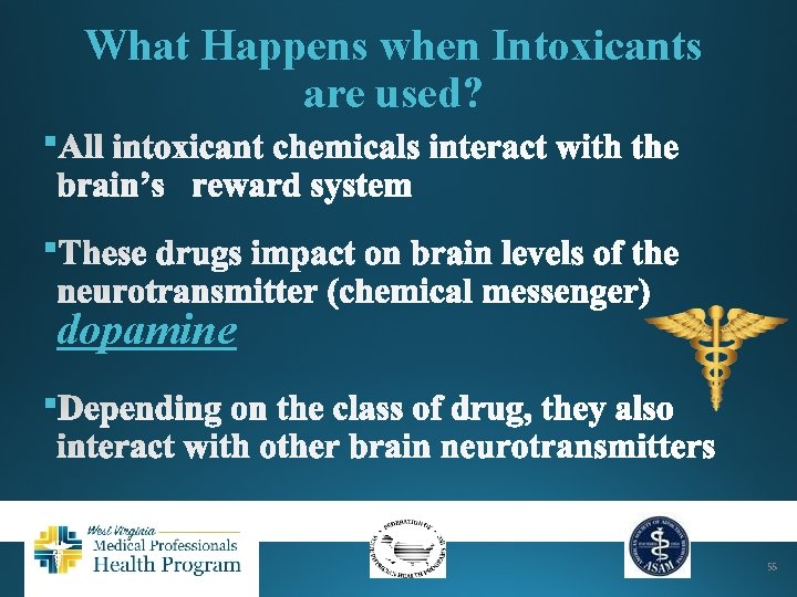 What Happens when Intoxicants are used? § § dopamine § 55 