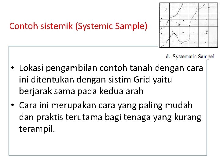 Contoh sistemik (Systemic Sample) • Lokasi pengambilan contoh tanah dengan cara ini ditentukan dengan
