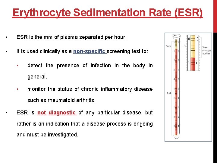 Erythrocyte Sedimentation Rate (ESR) • ESR is the mm of plasma separated per hour.