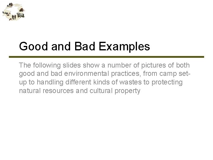 Good and Bad Examples The following slides show a number of pictures of both