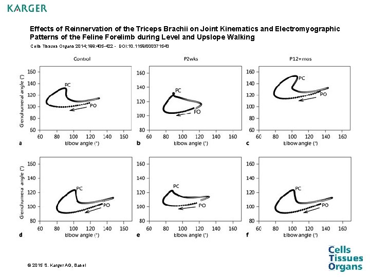 Effects of Reinnervation of the Triceps Brachii on Joint Kinematics and Electromyographic Patterns of