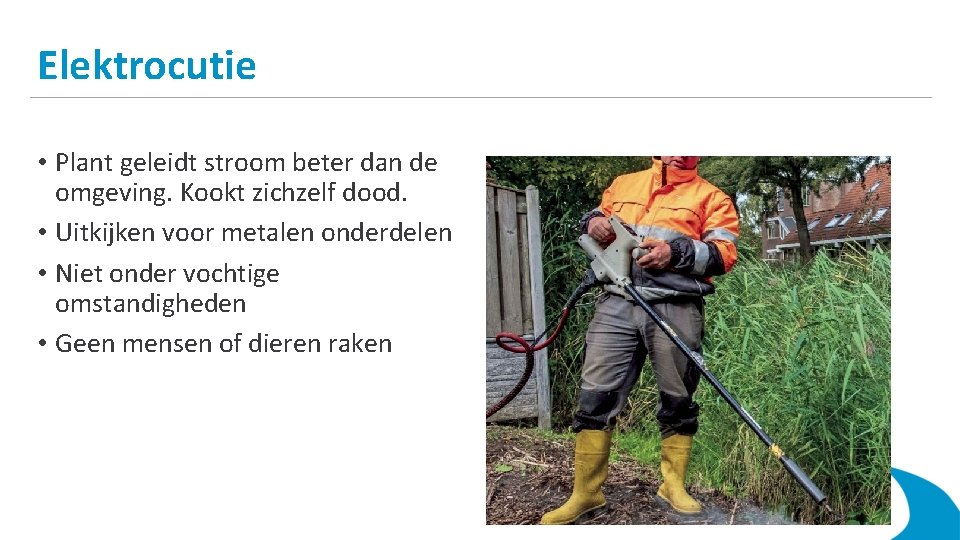 Elektrocutie • Plant geleidt stroom beter dan de omgeving. Kookt zichzelf dood. • Uitkijken
