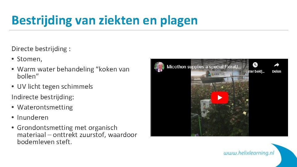 Bestrijding van ziekten en plagen Directe bestrijding : • Stomen, • Warm water behandeling