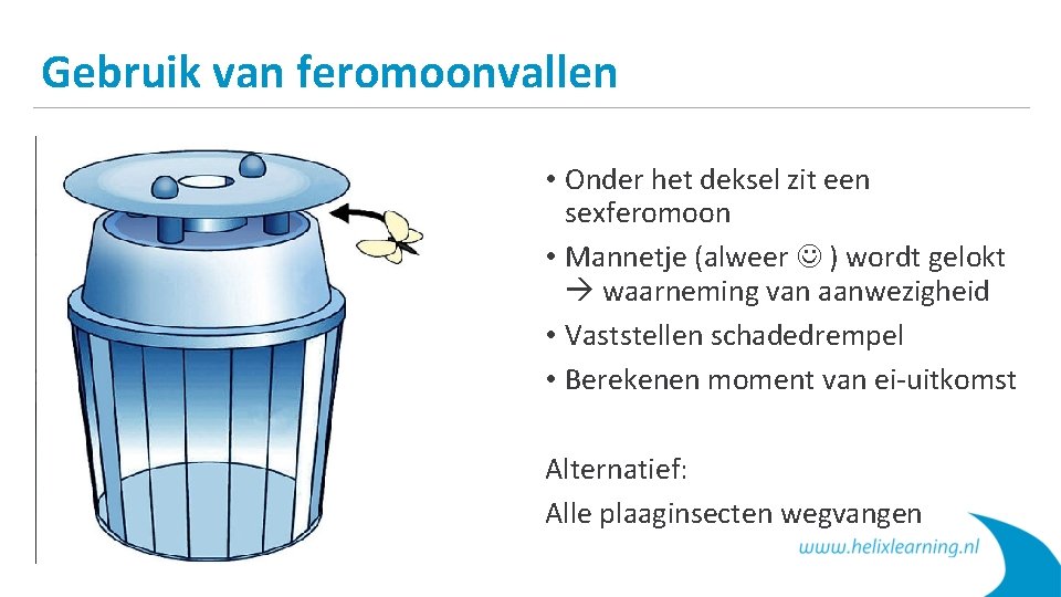 Gebruik van feromoonvallen • Onder het deksel zit een sexferomoon • Mannetje (alweer )