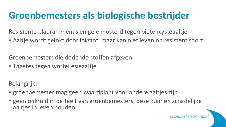 Groenbemesters als biologische bestrijder Resistente bladrammenas en gele mosterd tegen bietencysteaaltje • Aaltje wordt