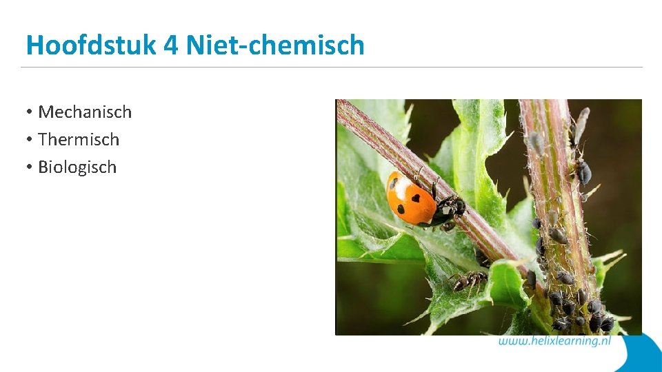 Hoofdstuk 4 Niet-chemisch • Mechanisch • Thermisch • Biologisch 