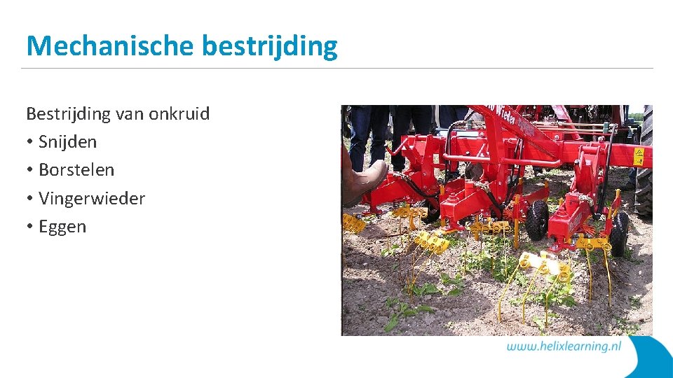 Mechanische bestrijding Bestrijding van onkruid • Snijden • Borstelen • Vingerwieder • Eggen 