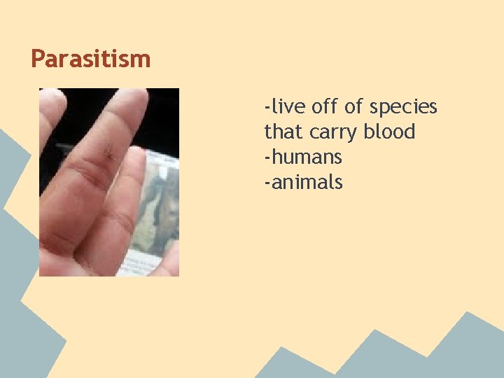 Parasitism -live off of species that carry blood -humans -animals 