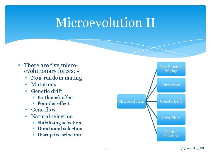 Microevolution II There are five microevolutionary forces: Non-random mating Mutations Genetic drift Non-Random Mating